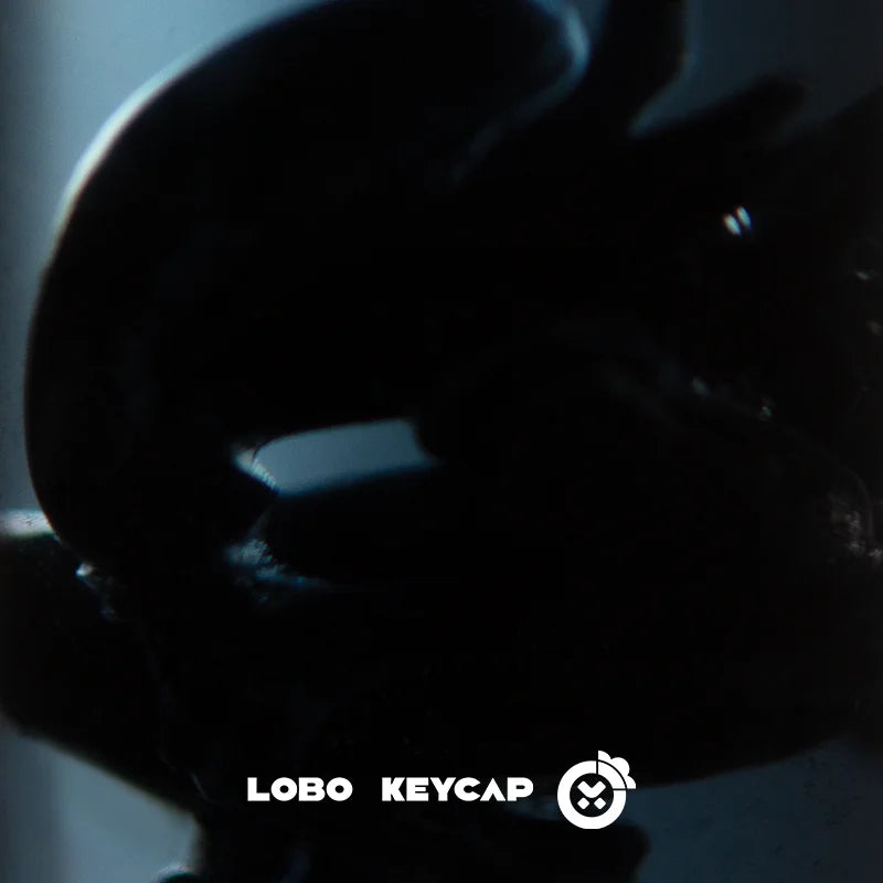 Light Transmission Keyboard Keycap Shaped Series Customized Esc C4 Single Character Replacement   Computer Peripheral Accessory